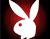 Erotische Playboy Bunny